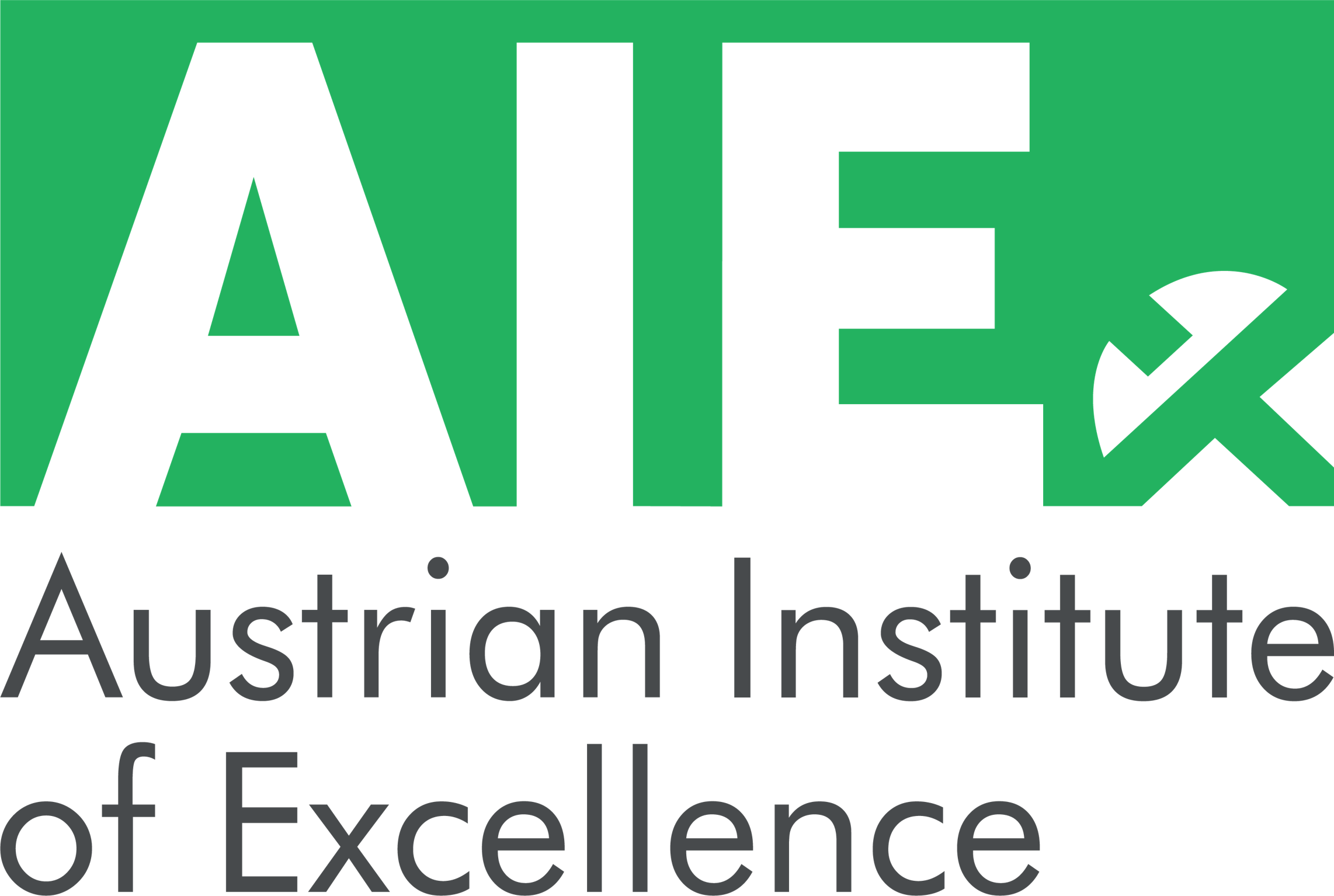 Austrian Institute of Excellence